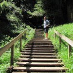 Linden Tibbetts, Founder IFTTT